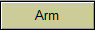 Arm