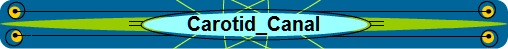 Carotid_Canal