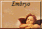 Embryo