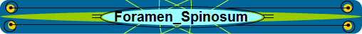 Foramen_Spinosum