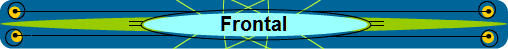 Frontal
