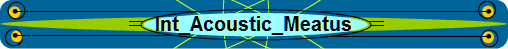 Int_Acoustic_Meatus
