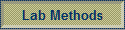 Lab Methods