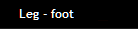 Leg - foot