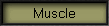 Muscle