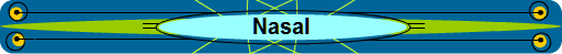 Nasal