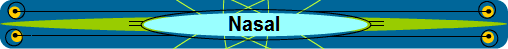 Nasal