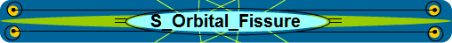 S_Orbital_Fissure