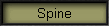 Spine