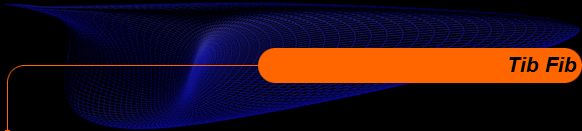 Tib Fib