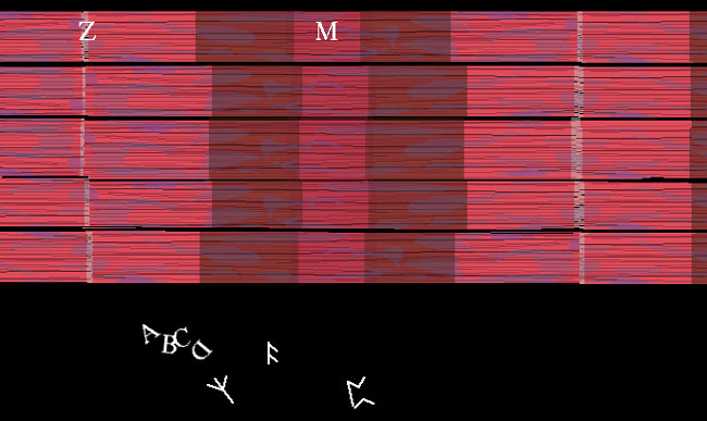 fibres under microscope. this under a microscope.