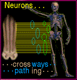 SDR-RootletSort